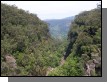 100_2918.jpg  (116.2 Kb)