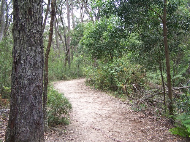 100_2757.jpg  (152.3 Kb)