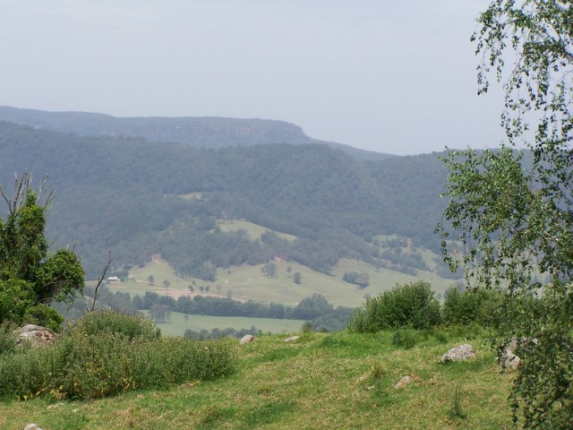 100_2777.jpg  (84.3 Kb)