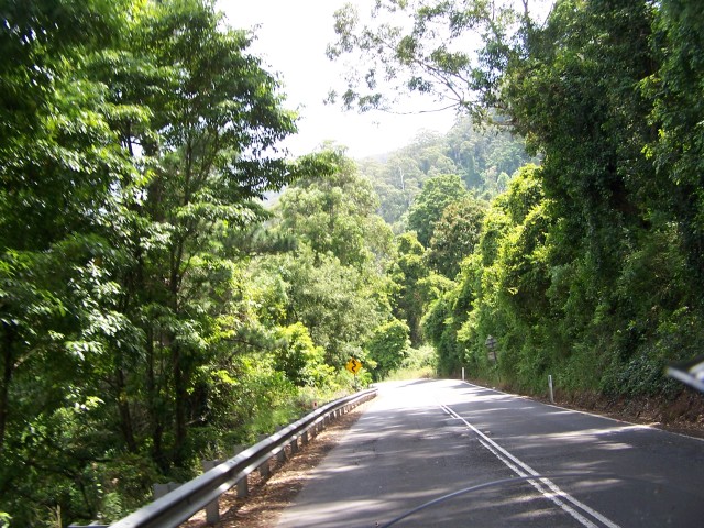 100_2779.jpg  (131.8 Kb)