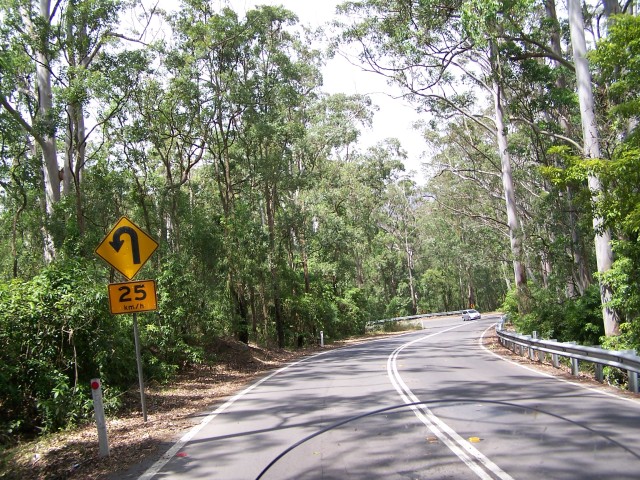 100_2783.jpg  (148.1 Kb)