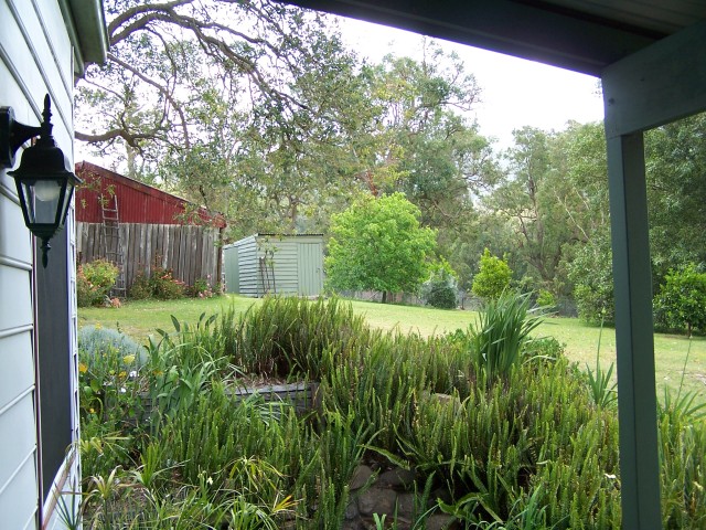 100_2794.jpg  (130.7 Kb)