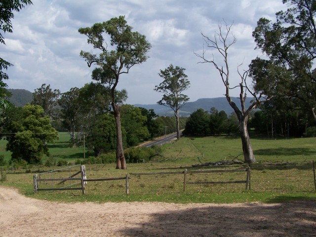 100_2800.jpg  (100.6 Kb)