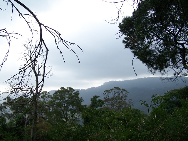 100_2804.jpg  (93.4 Kb)