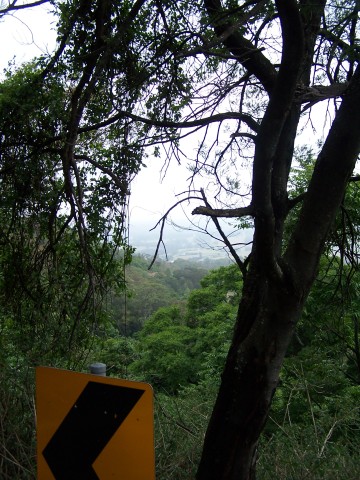 100_2805.jpg  (71.4 Kb)