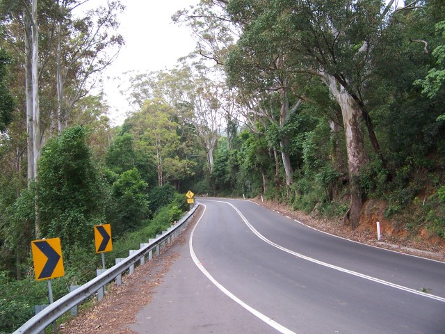 100_2809.jpg  (115.8 Kb)