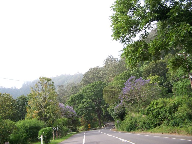 100_2813.jpg  (95.1 Kb)