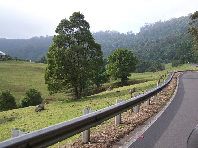 100_2814.jpg  (84.2 Kb)