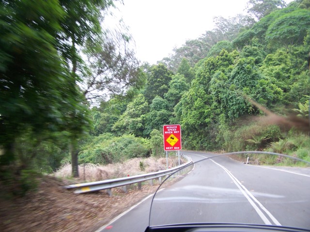 100_2821.jpg  (99.9 Kb)