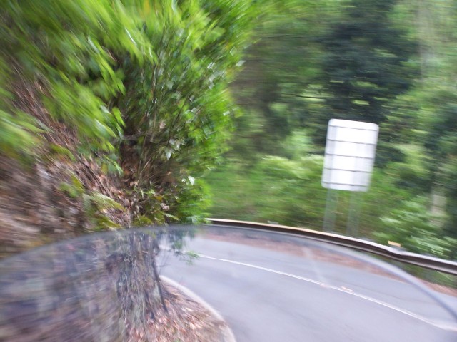 100_2851.jpg  (78.3 Kb)