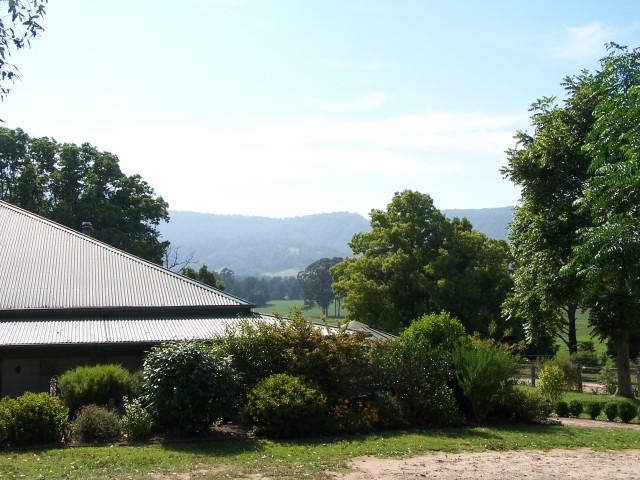 100_2886.jpg  (90.4 Kb)