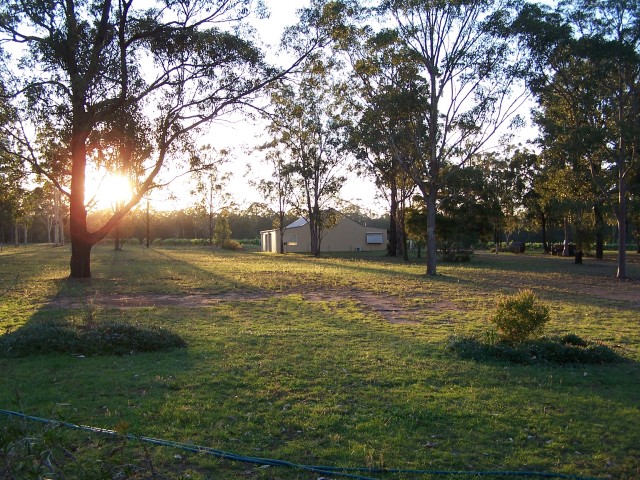 100_1624.jpg  (141.3 Kb)
