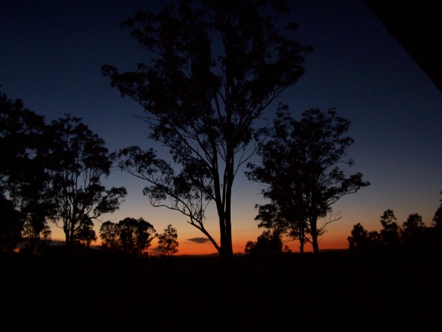 100_1640.jpg  (51.4 Kb)