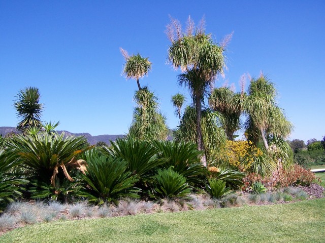 100_1671.jpg  (105.5 Kb)