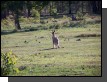 100_1604.jpg  (128.3 Kb)