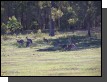100_1605.jpg  (123.2 Kb)