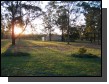 100_1624.jpg  (141.3 Kb)