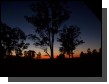 100_1640.jpg  (51.4 Kb)