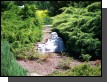 100_1662.jpg  (153.7 Kb)