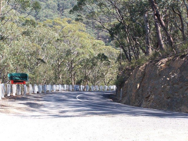 100_2537.jpg  (132.9 Kb)