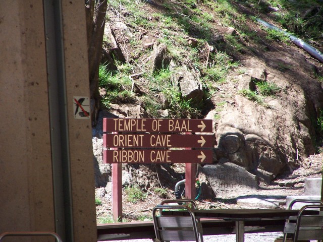 100_2541.jpg  (114.5 Kb)
