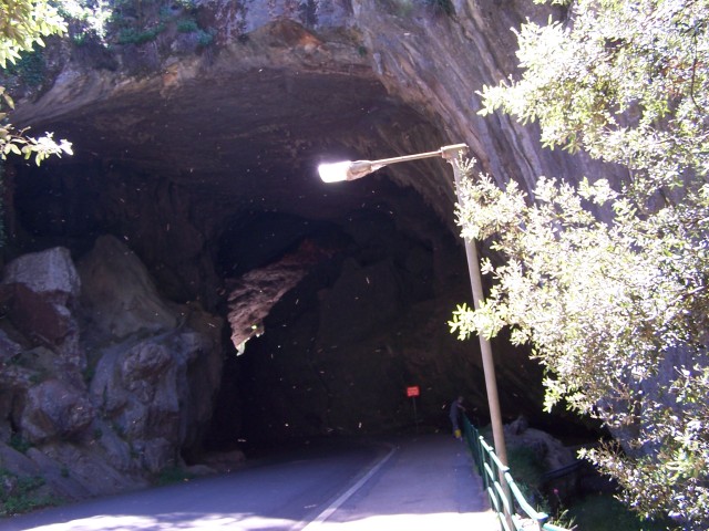 100_2544.jpg  (94.2 Kb)