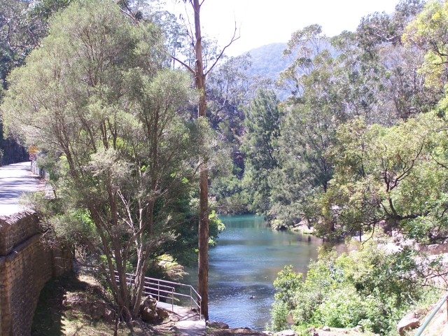 100_2558.jpg  (141.5 Kb)