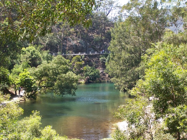 100_2561.jpg  (153.7 Kb)