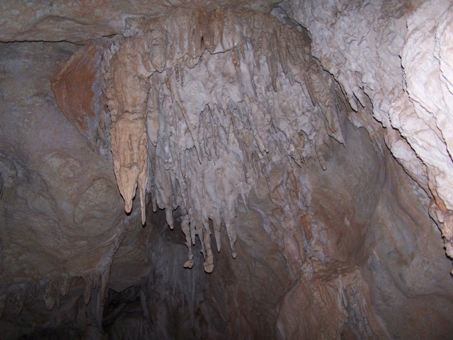 100_2570.jpg  (79.4 Kb)