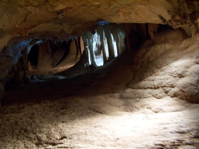 100_2595.jpg  (67.1 Kb)