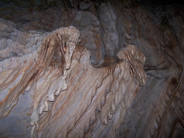 100_2597.jpg  (78.4 Kb)