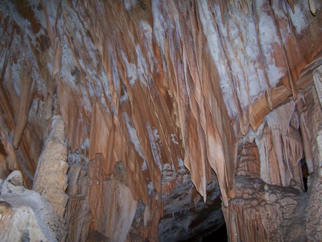 100_2610.jpg  (87.0 Kb)