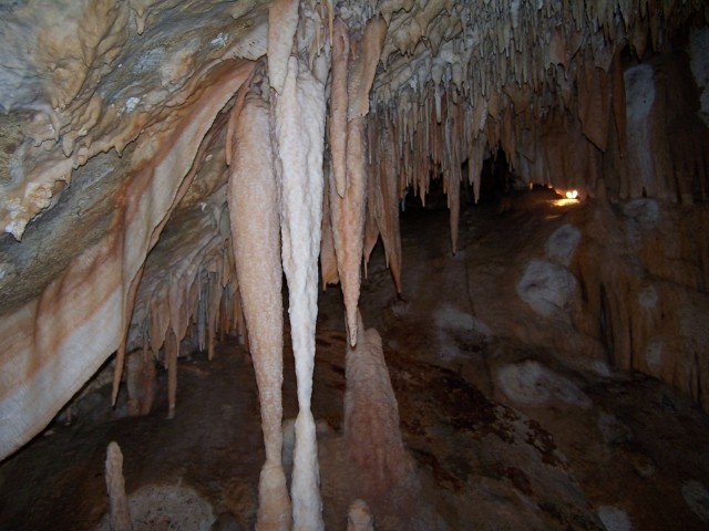 100_2619.jpg  (71.9 Kb)