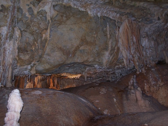 100_2630.jpg  (82.7 Kb)