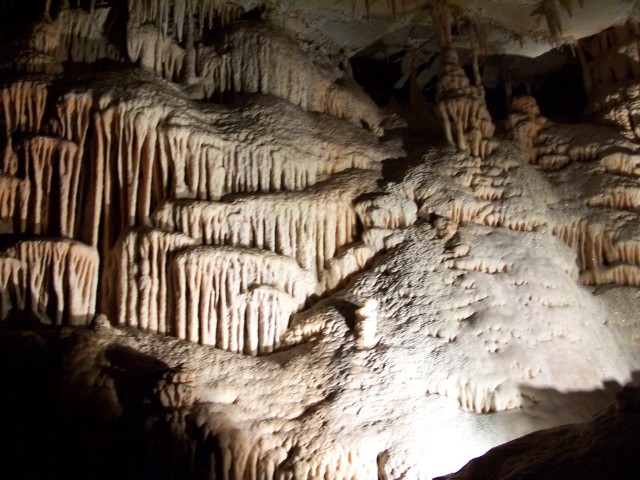 100_2633.jpg  (87.6 Kb)