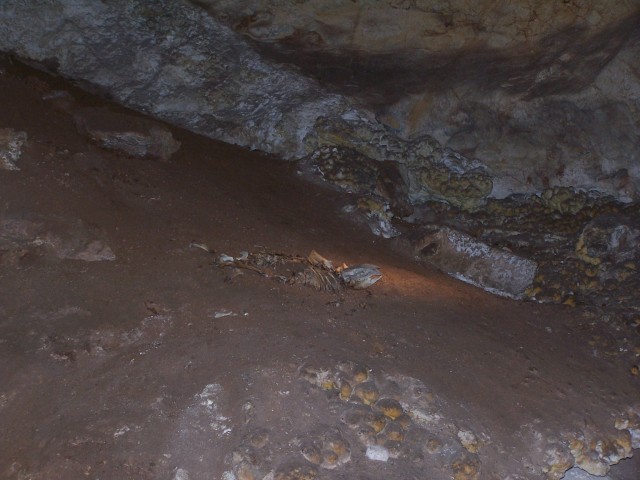 100_2651.jpg  (66.4 Kb)