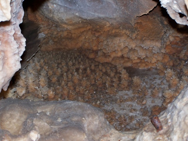 100_2691.jpg  (78.9 Kb)