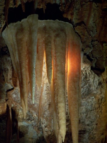 100_2692.jpg  (41.5 Kb)