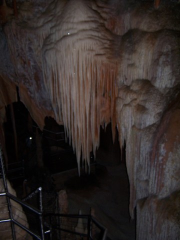 100_2704.jpg  (31.1 Kb)
