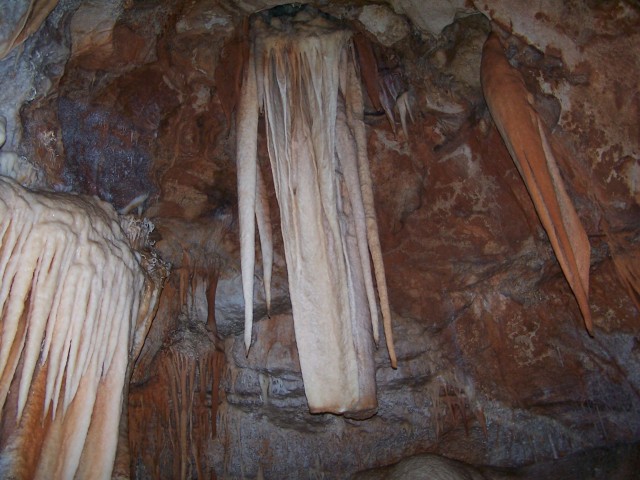 100_2705.jpg  (80.5 Kb)