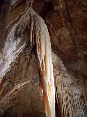100_2724.jpg  (51.6 Kb)