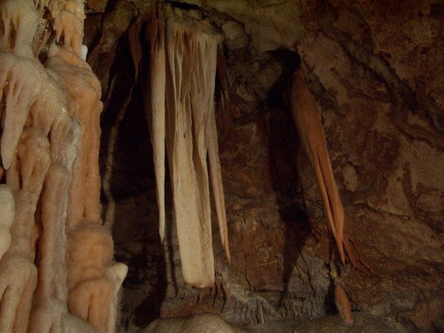 100_2727.jpg  (64.8 Kb)