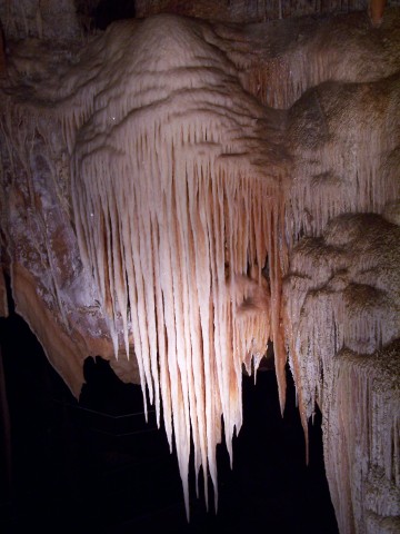 100_2728.jpg  (44.8 Kb)