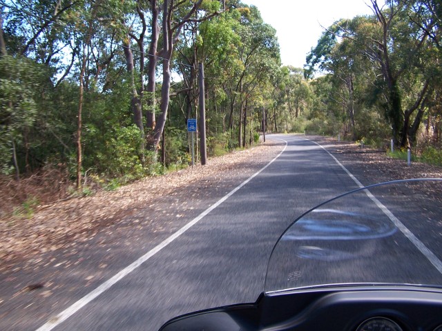 100_1541.jpg  (114.5 Kb)