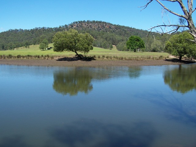 100_1554.jpg  (62.5 Kb)