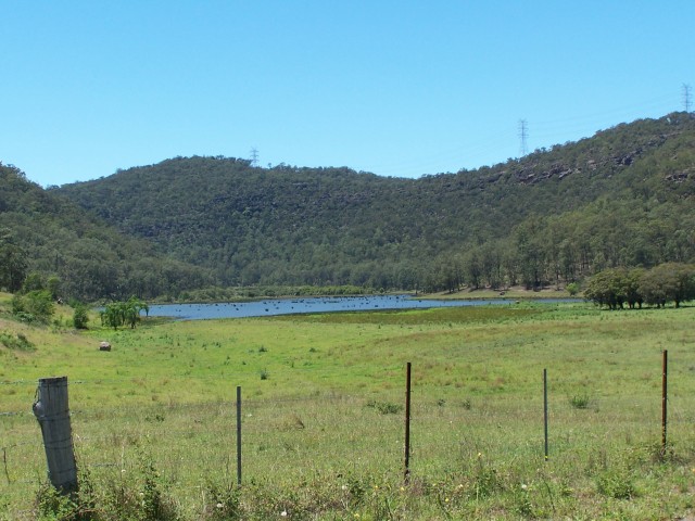 100_1582.jpg  (82.1 Kb)
