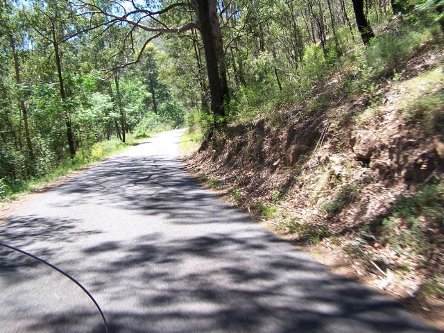 100_1584.jpg  (137.0 Kb)