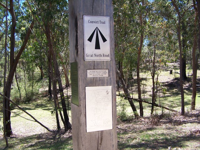100_1598.jpg  (140.4 Kb)