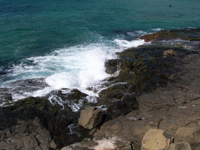 100_3007.jpg  (95.1 Kb)