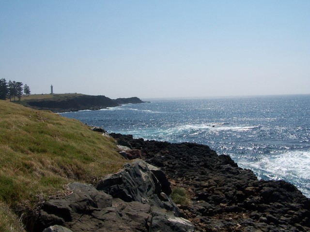 100_3011.jpg  (73.8 Kb)